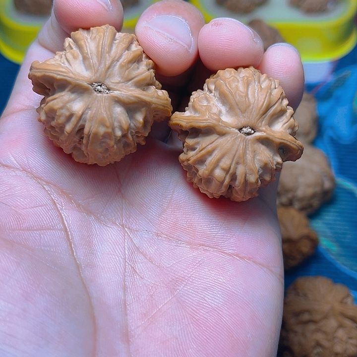 文玩核桃吊坠红豆