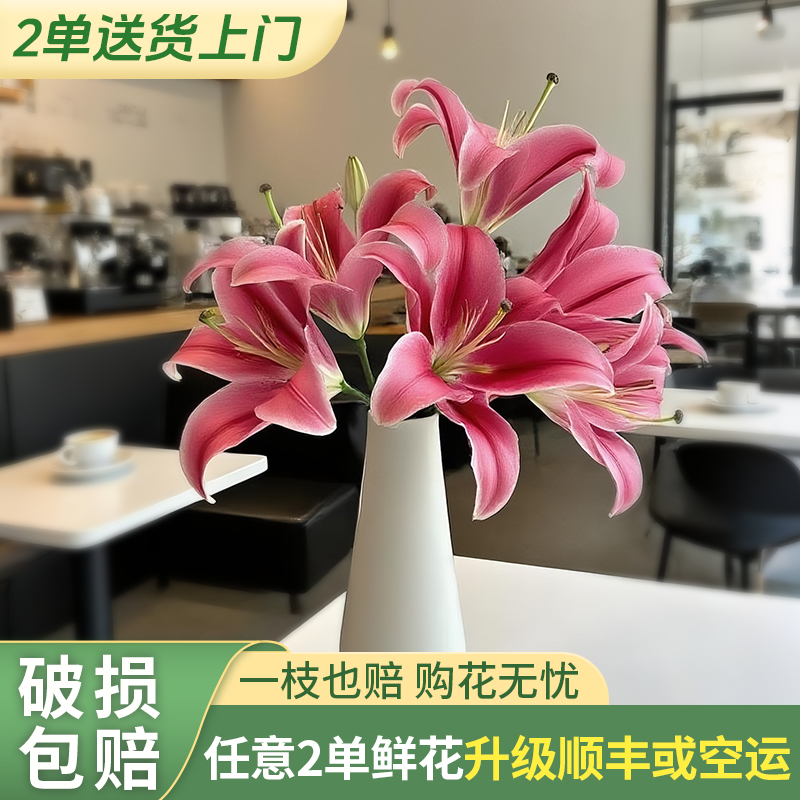 【源头优选老六】普拉芬多香水百合/元旦预热 任意两单鲜花升级快递