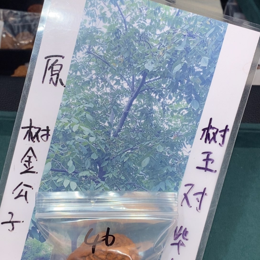 文玩核桃吊坠46金公子