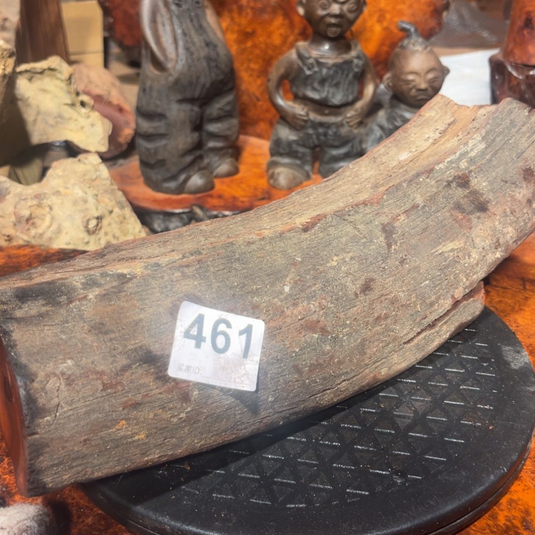 大果紫檀（缅甸花梨）