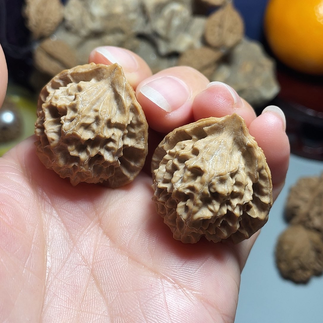 核桃手串/手链精品珊瑚塔33加