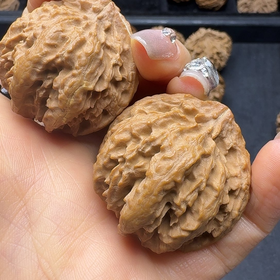 桃木突突突突突突突