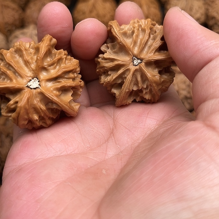 中***哥文玩核桃吊坠你们都在