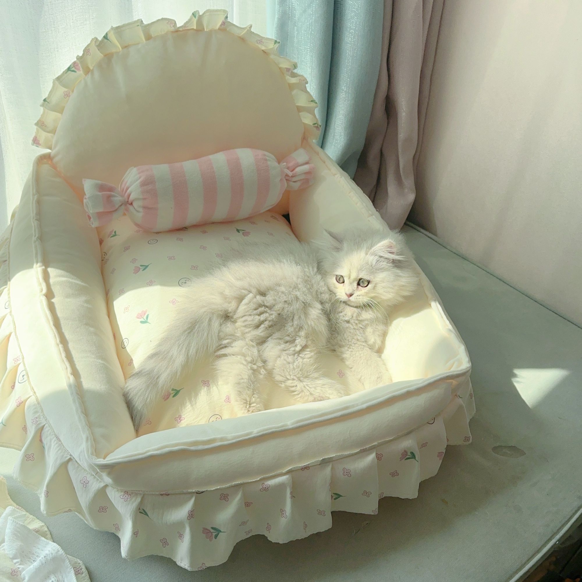 达人专属四季通用米白色公主床沙发棉质狗窝猫窝可拆洗宠物床圆形