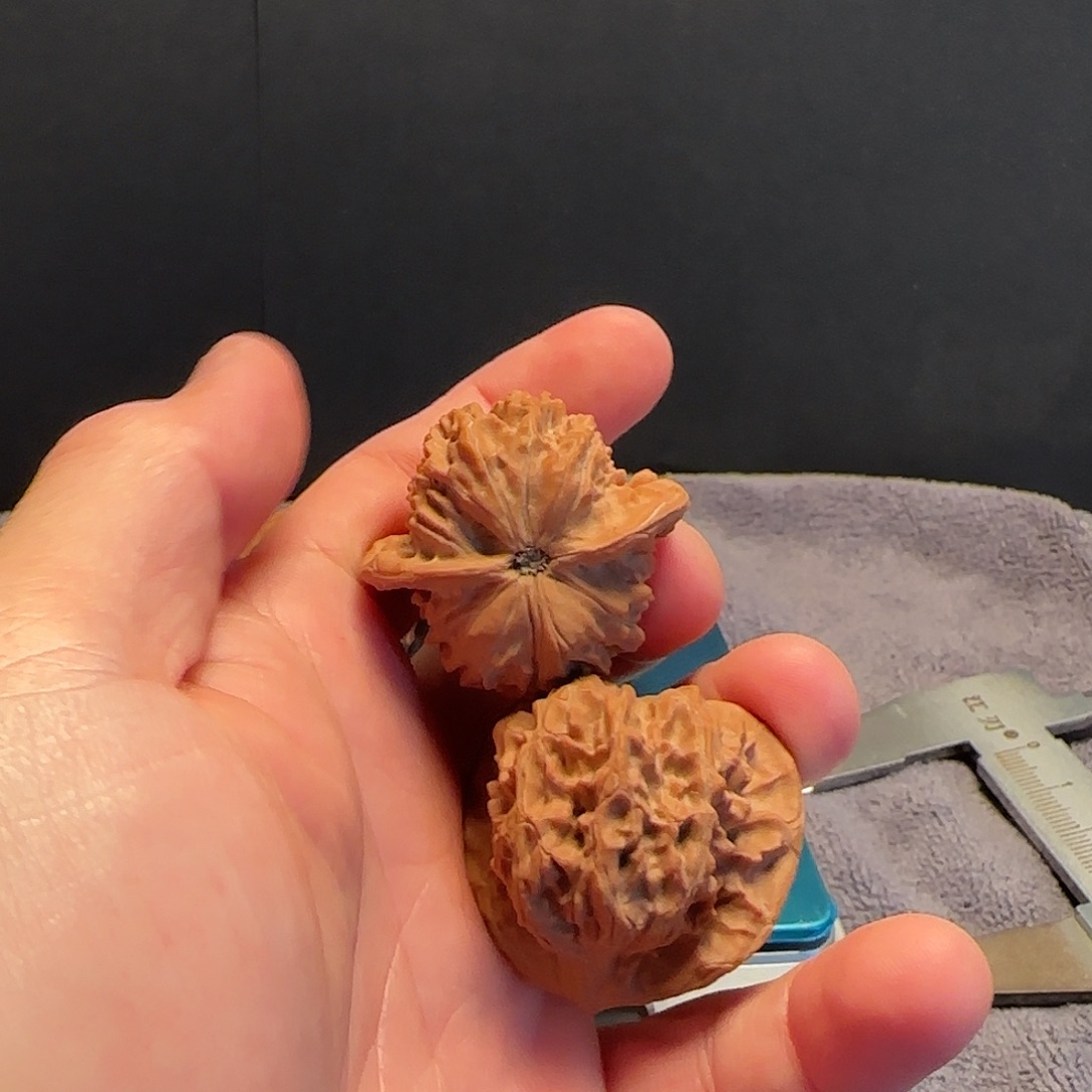 吊坠桃核太行山马蹄