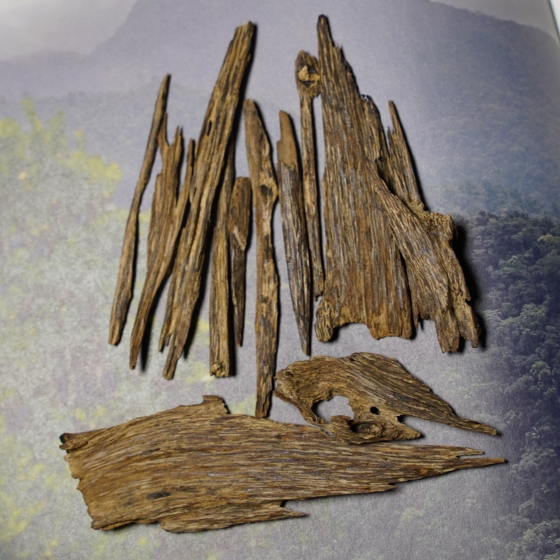 天然正区海南沉香树心油香料电子隔火熏香随机发货以实物为准