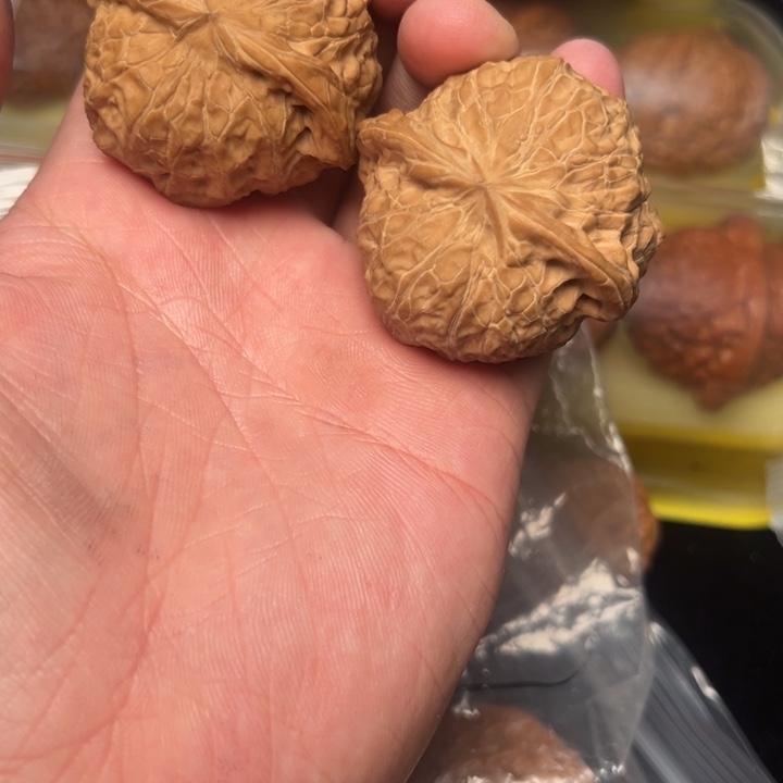 核桃南瓜，44全品，白茬