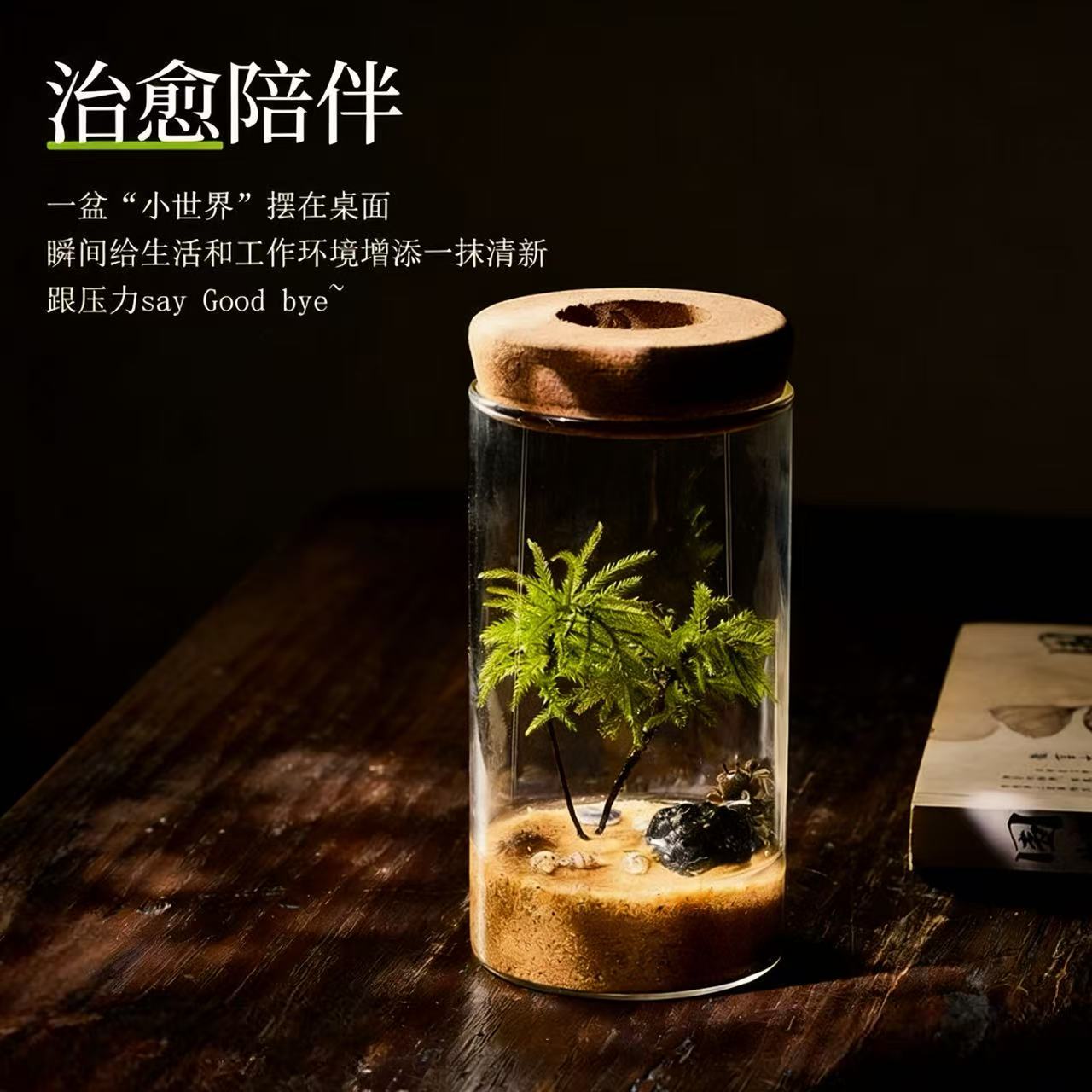[工位新宠]万年藓绿植好养易活办公室桌面创意生态瓶可养鱼小礼品