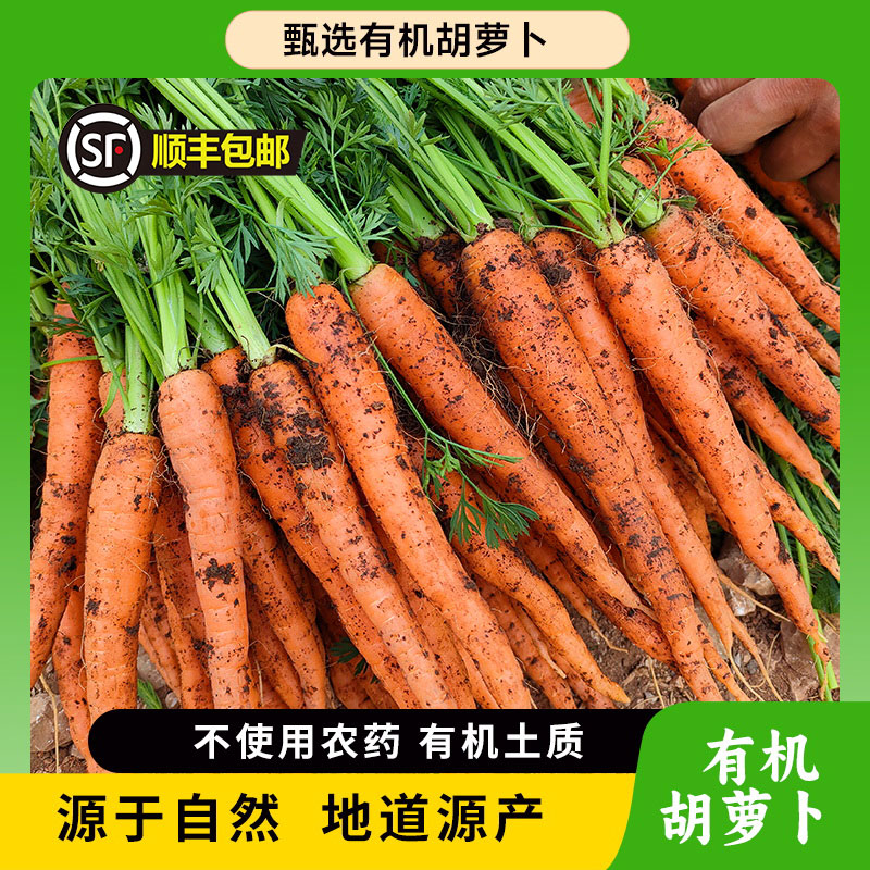 有机红胡萝卜/ 新鲜营养健康【云南高原有机农产品】