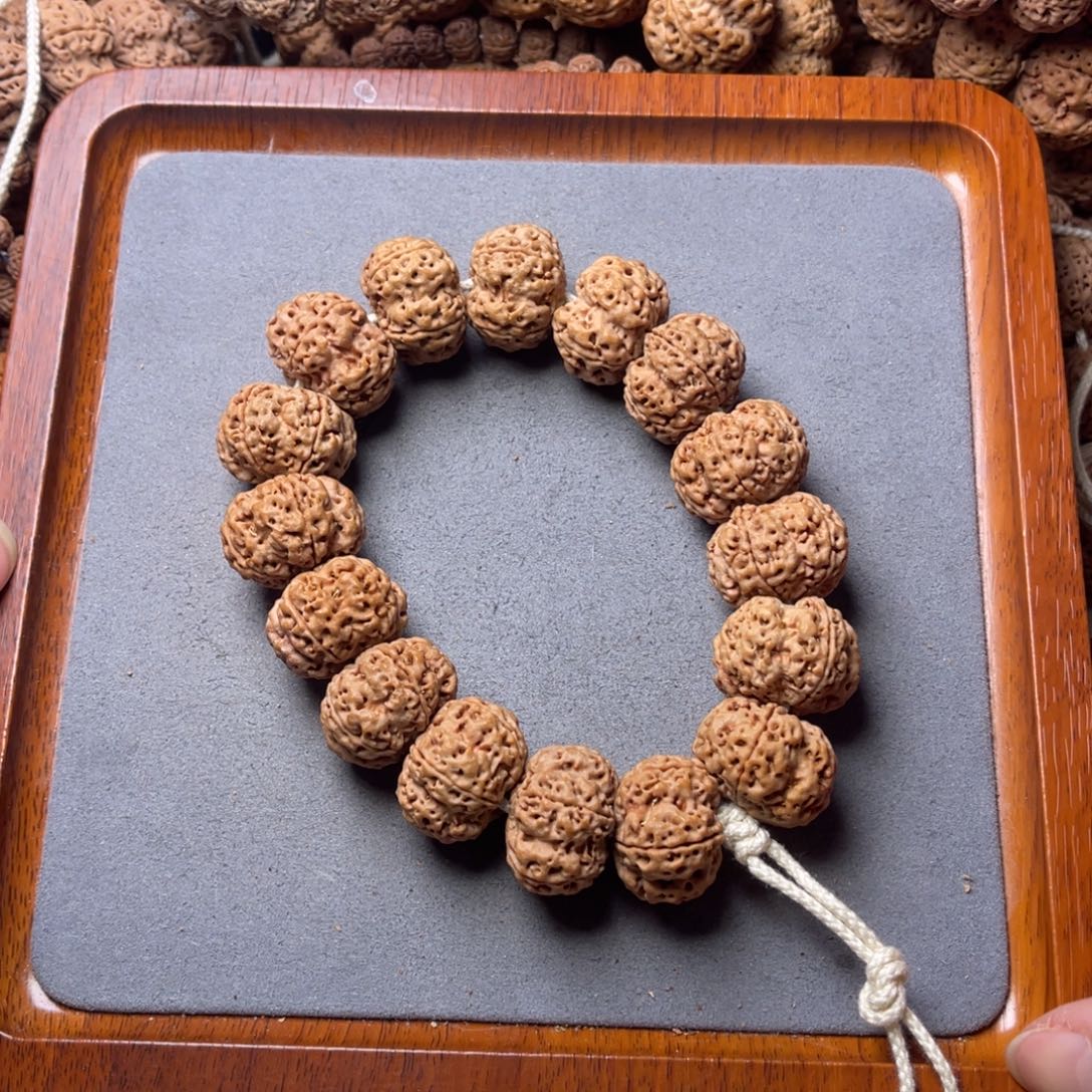 菩提籽类13号金刚菩提矮壮梅花23