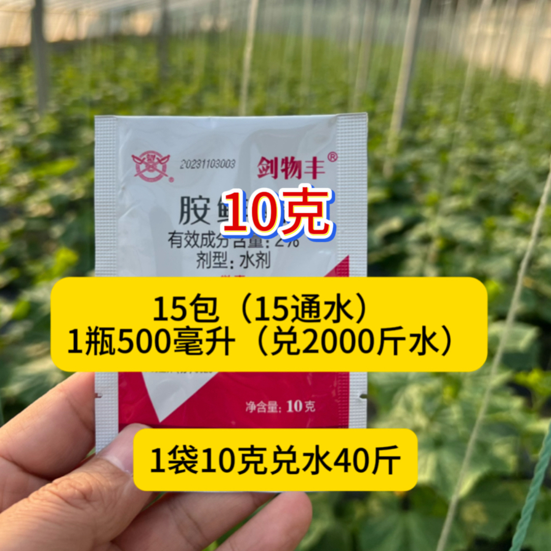 【美沣】冬天温度低安鲜脂生长果树蔬菜小麦促进生根增加肥料吸收肥