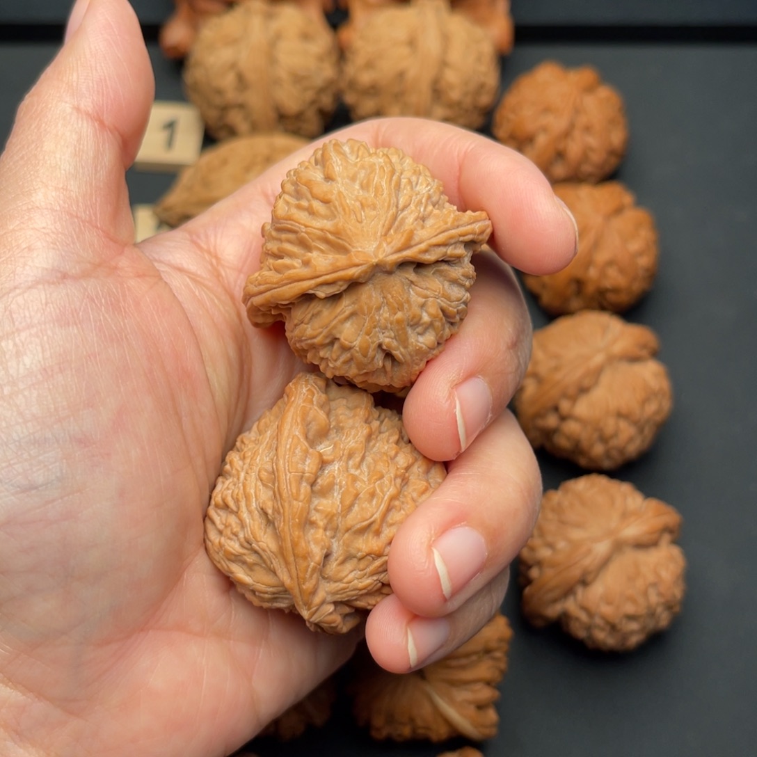 二***哥桃核把件白狮子38650