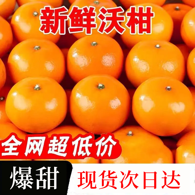 【次日达1】正宗广西武鸣沃柑4.5-5斤爆甜薄皮新鲜水果