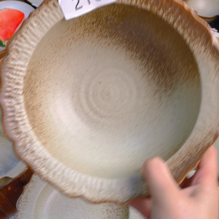 景德镇陶瓷学院等单位的专家