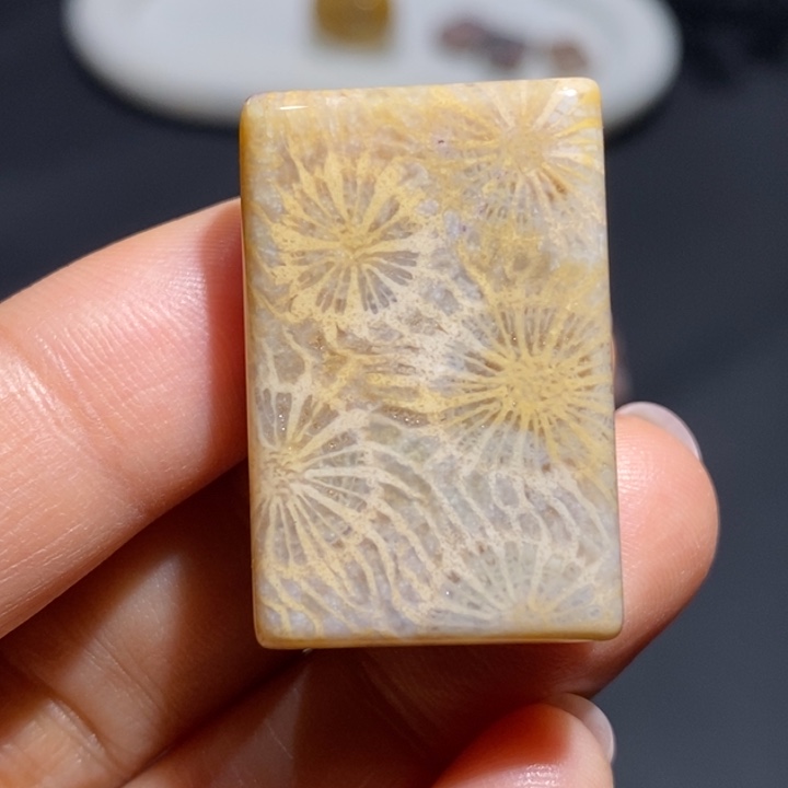 【闪购商品】未镶嵌珊瑚玉硅化玉