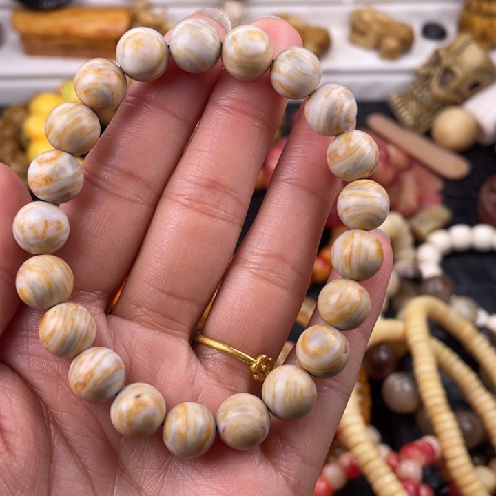 驼骨其他人工养殖10