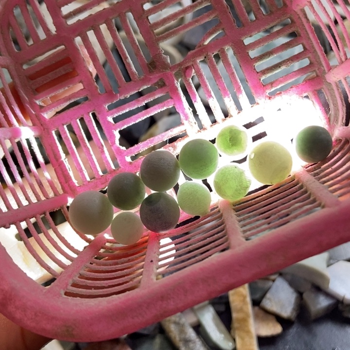 翡翠颈饰未镶嵌天然翡翠