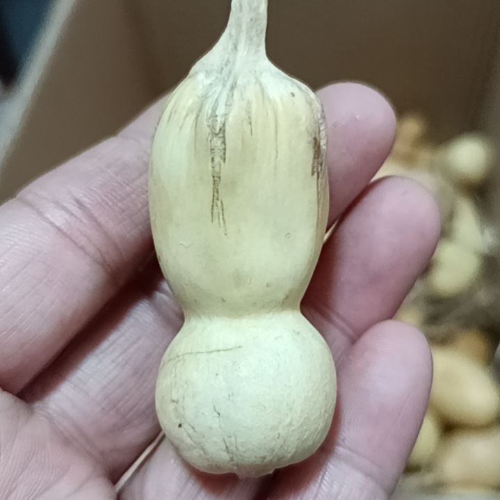 一****》葫芦葫芦葫芦葫芦葫芦葫芦