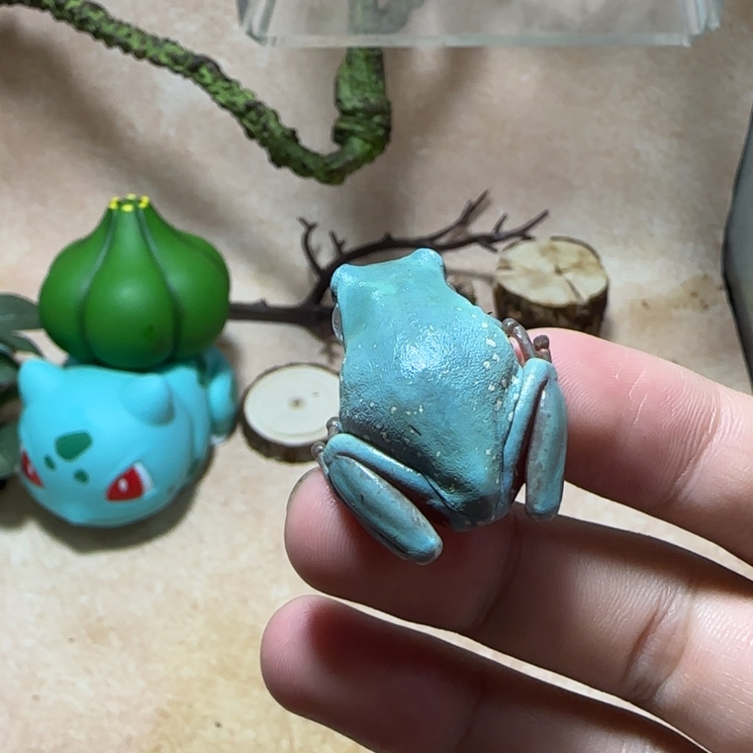 老爷树蛙奥蓝微雪