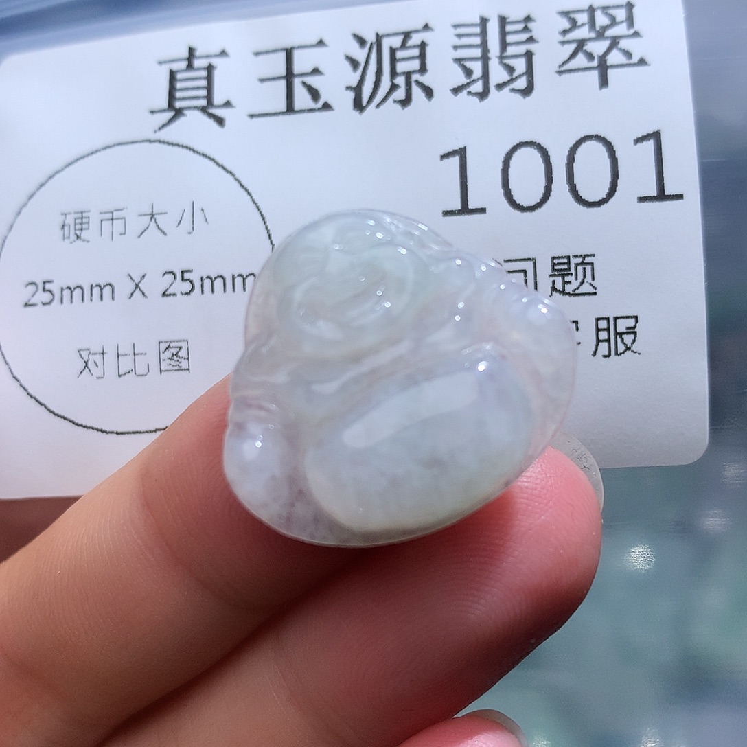 翡翠未镶嵌颈饰1001