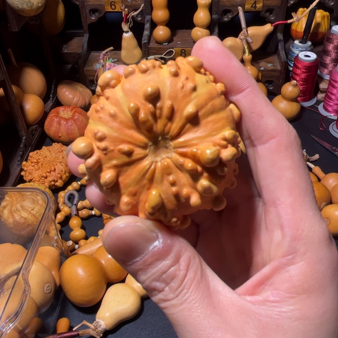 请****师老师葫芦葫芦葫芦