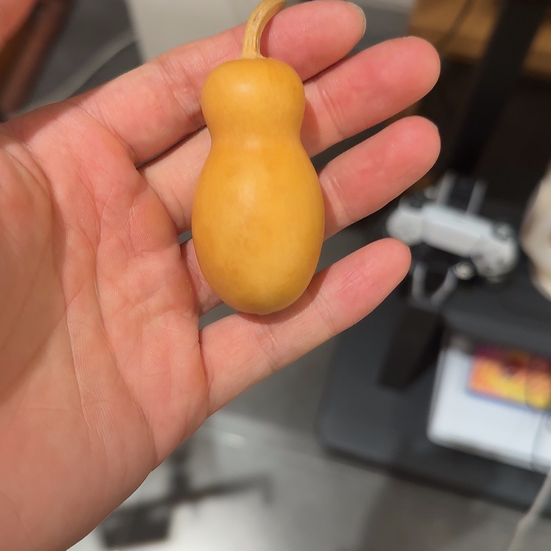 有机玻璃葫芦花生，秘制五个