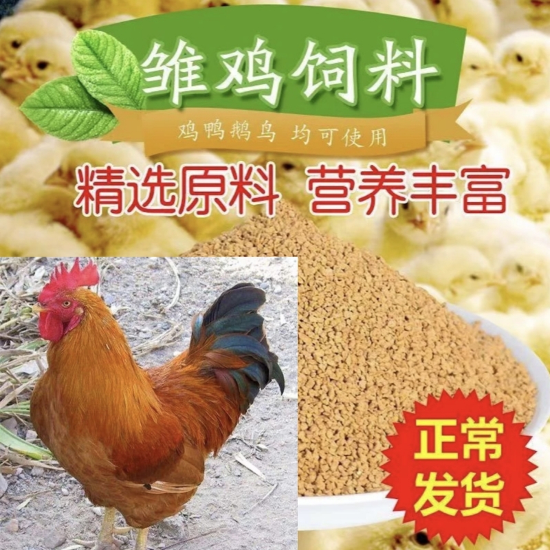 畜牧养殖【9斤红】健康好喂养