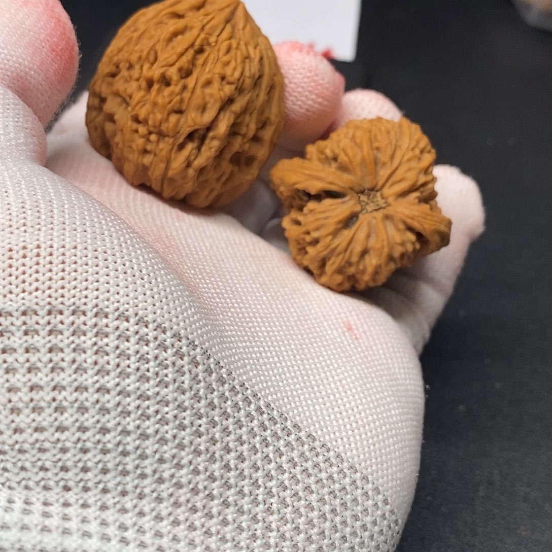 蔡***a38高炮南疆石核桃