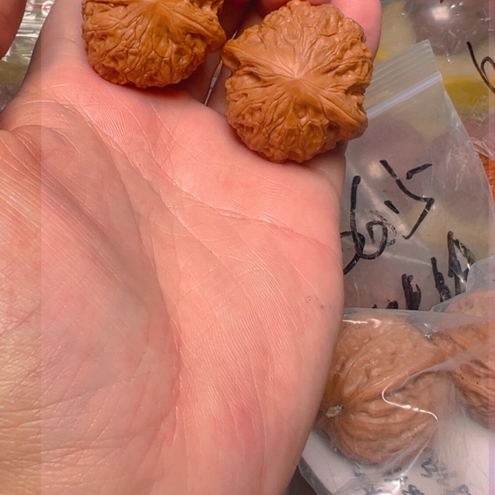 核桃原装铁锤，36.5，已打底