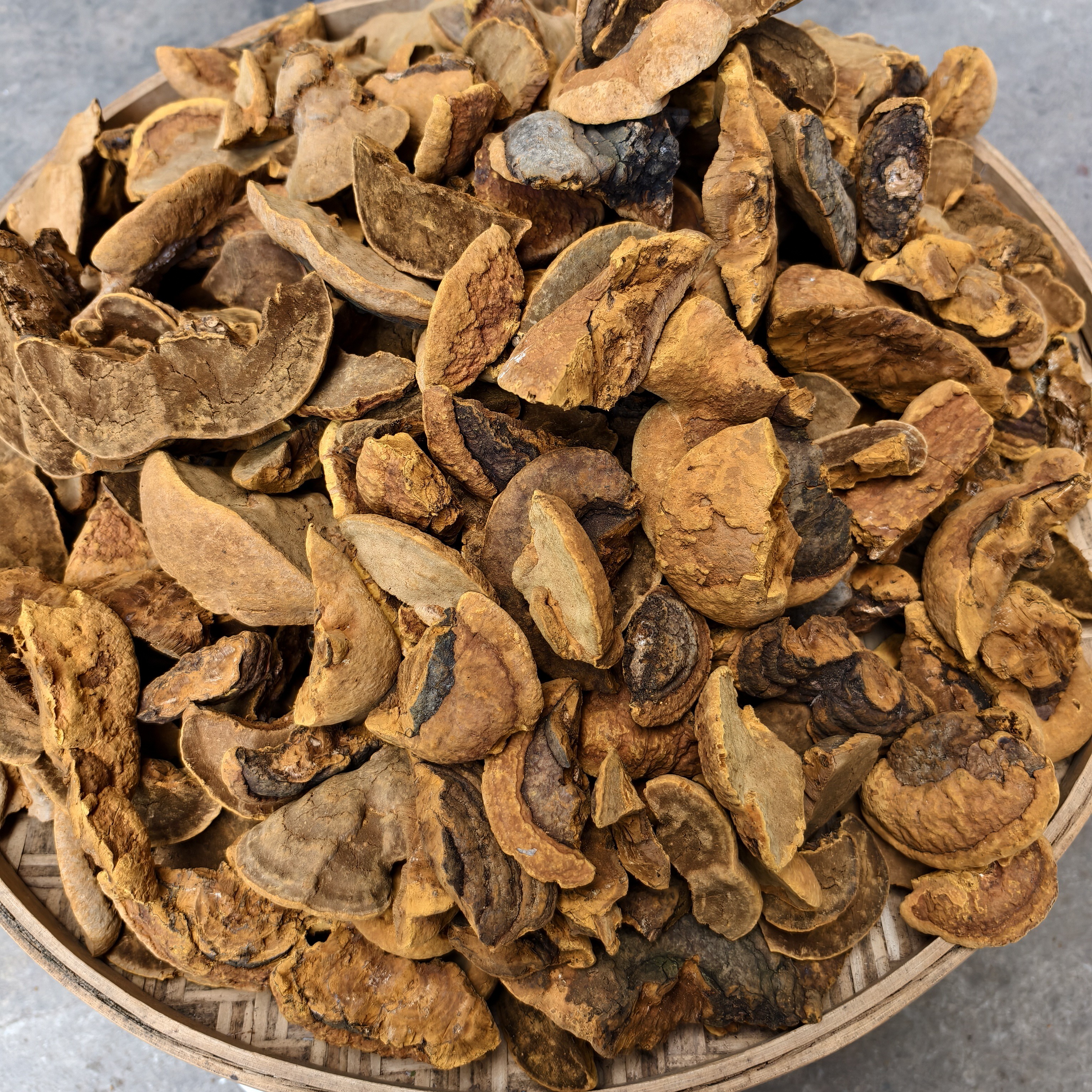 【云南特产】正宗桑芝芝菌菇小金豆搭配枸杞煲水煲汤泡酒500g
