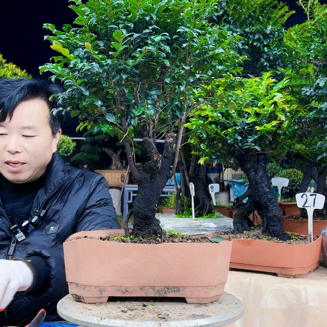 以实际为准尔*行12345678