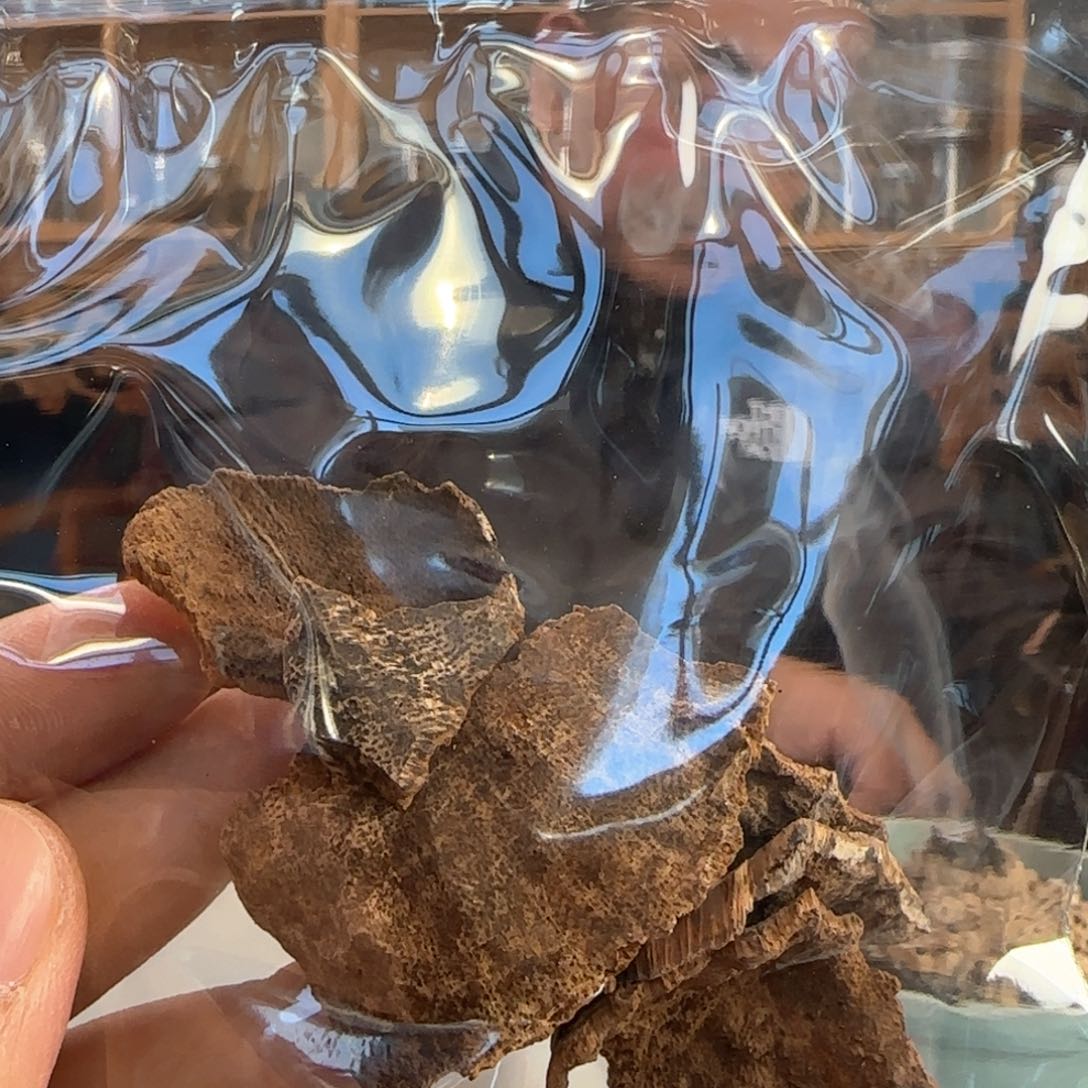 沉香摆件芽庄沉香老顶料10克