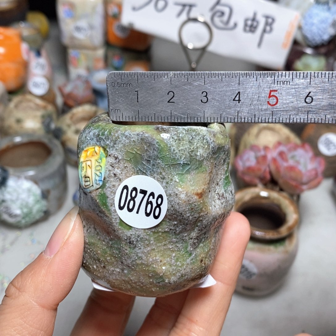 花盆拍3送一个小礼物