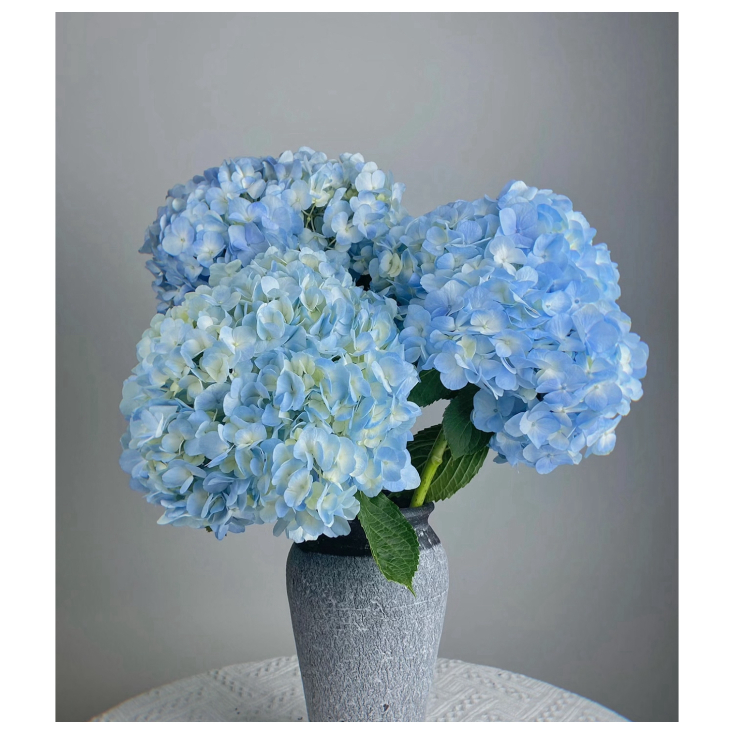 绣球花鲜花云南基地直发水养插花顺丰包邮