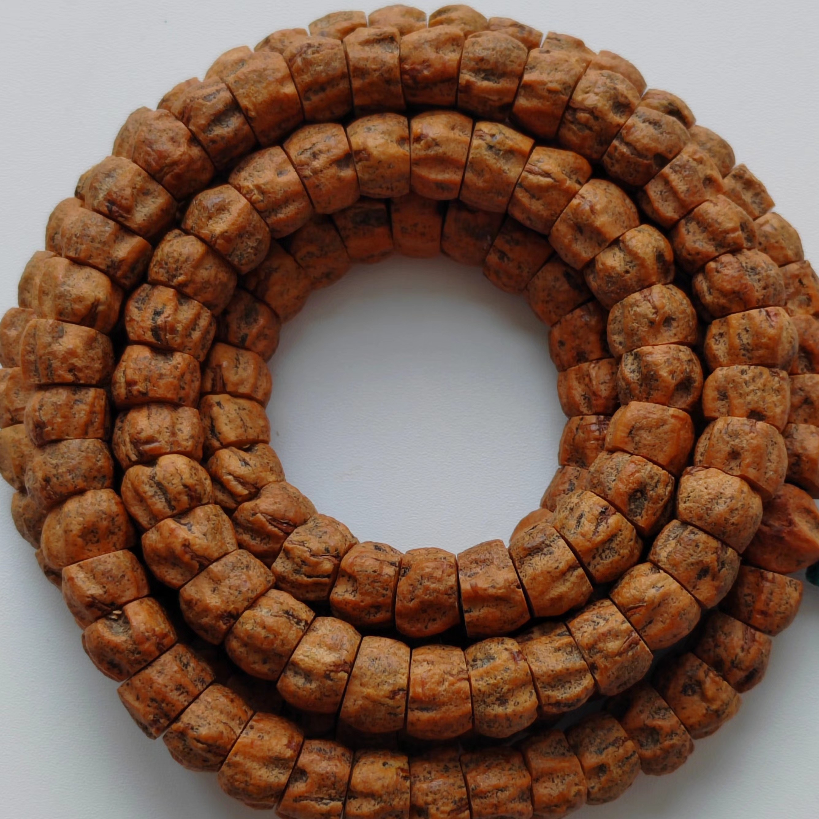 一款老树红油皮微斜切大肠百香籽，油性大密度高，藏式风格突出