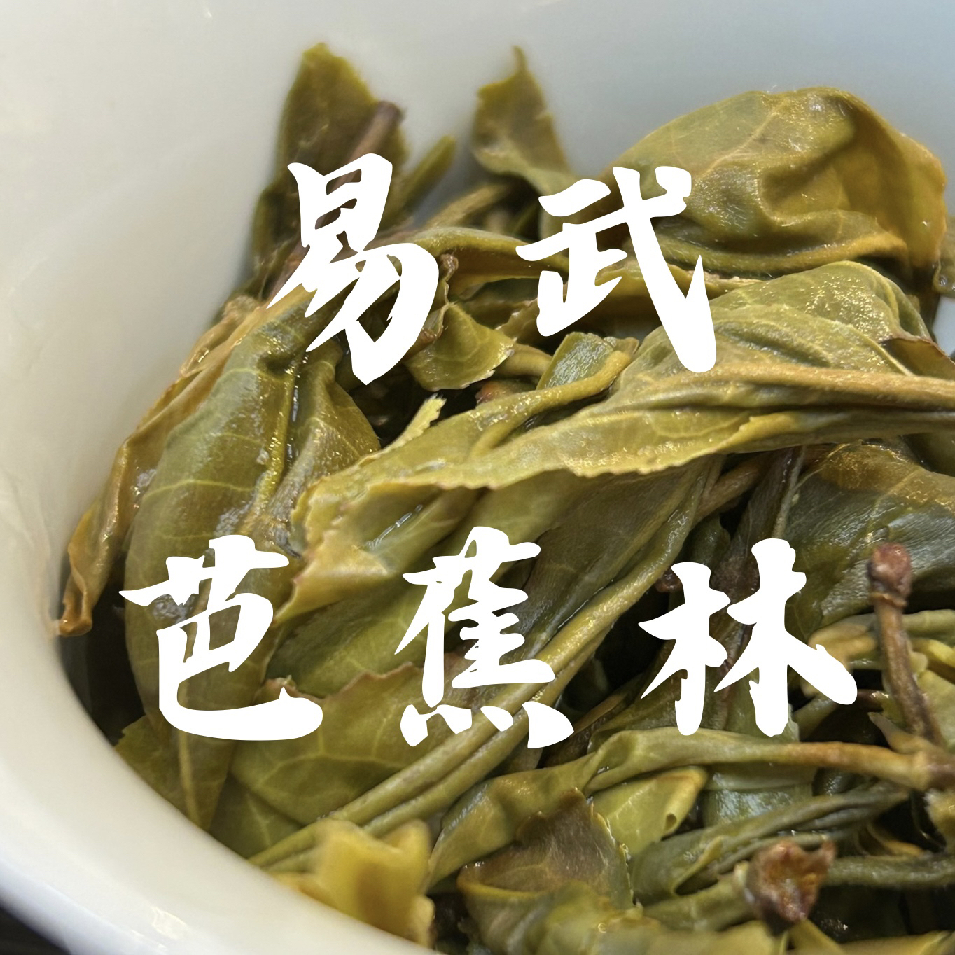 易武2024高山寨·芭蕉林·高山之巅，雨林之地，醇香回甘，柔甜入心！