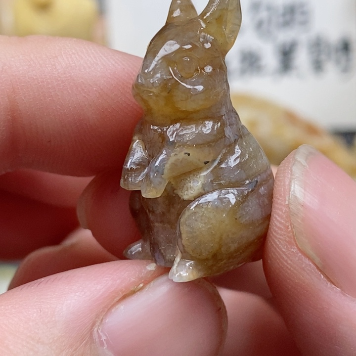 颈饰未镶嵌硅化珊瑚（珊瑚玉）