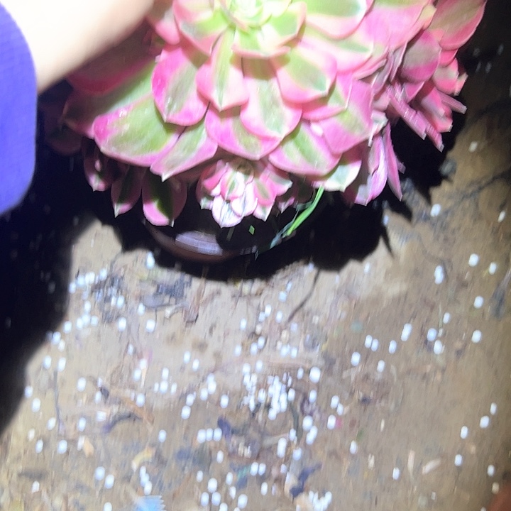 法师链接一物一拍13