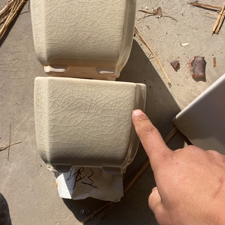 花盆花盆花盆花盆