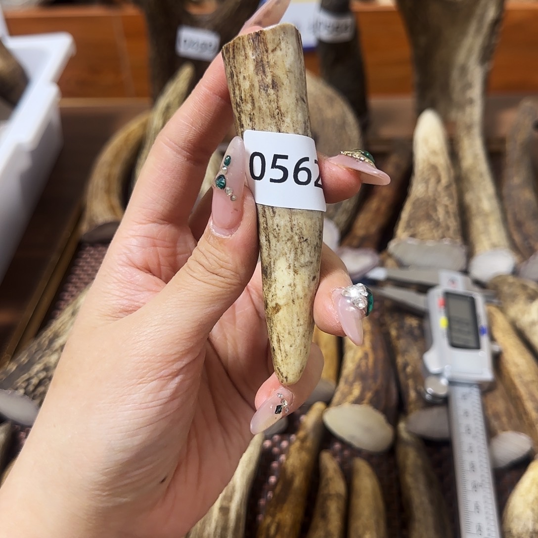 手串/手链鹿骨0562角尖