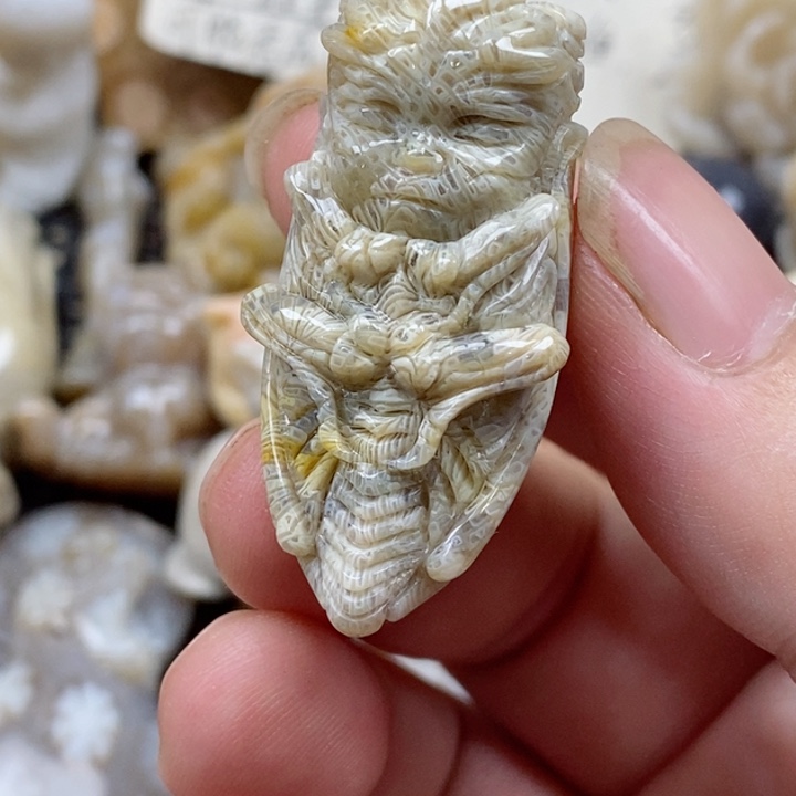 颈饰未镶嵌硅化珊瑚（珊瑚玉）