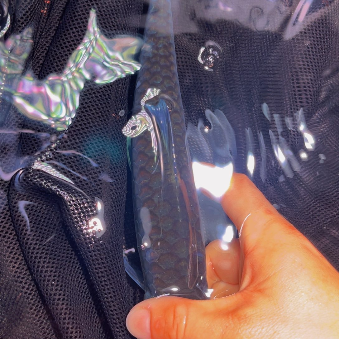 海水鱼异口异口异口