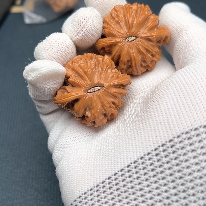 F*H文玩核桃磨盘42尺寸打好底