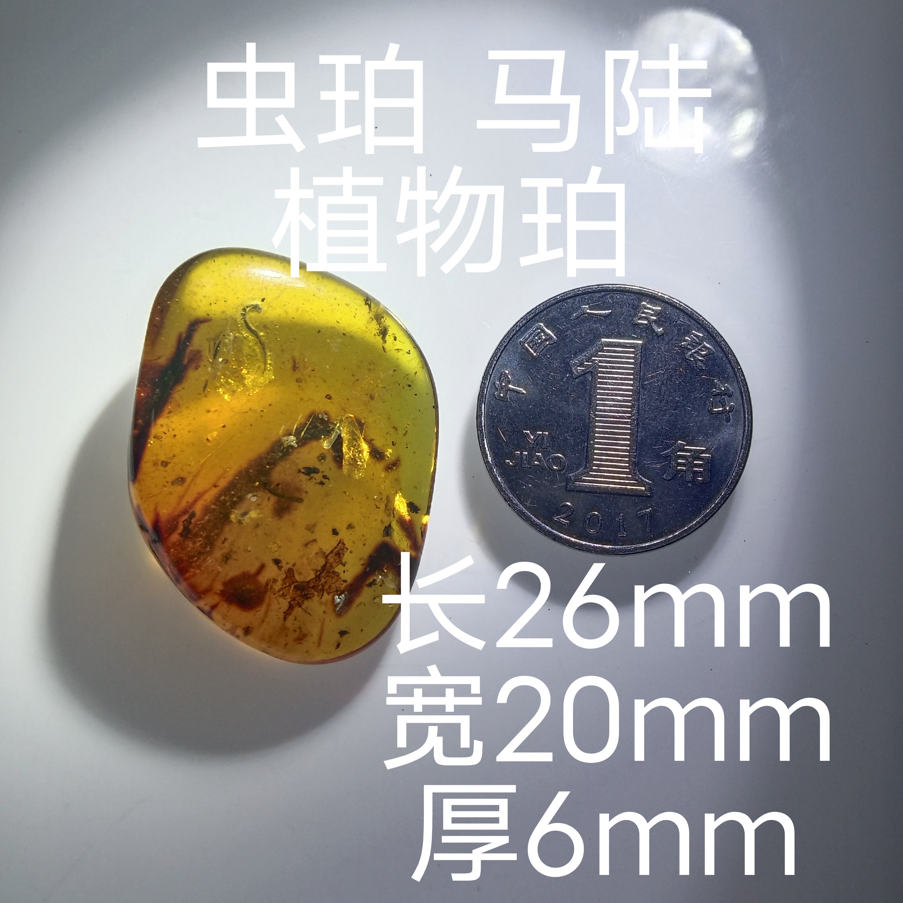 缅甸天然琥珀虫珀马陆植物珀有冰有杂有坑科普收藏研究不议价直发