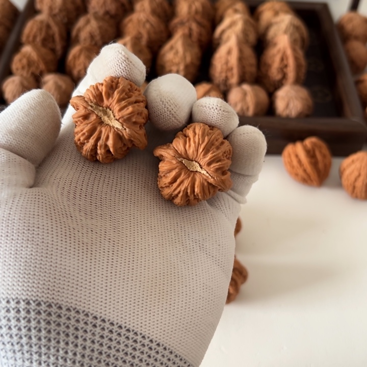 核桃全品老款密纹