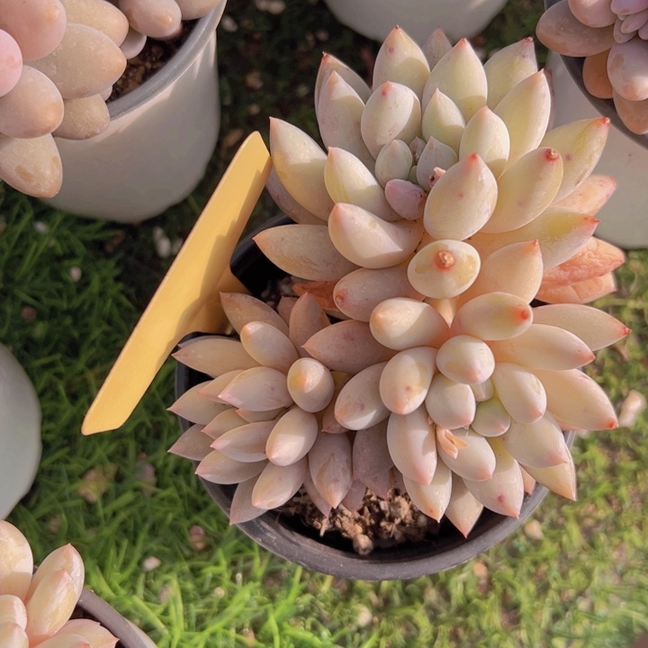 健健康康平平安安