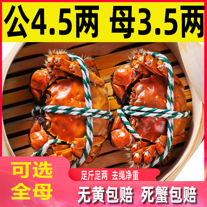 【活蟹】大螃蟹公蟹4.5两母蟹3.5两6-10只螃蟹鲜活河蟹礼盒包邮现货