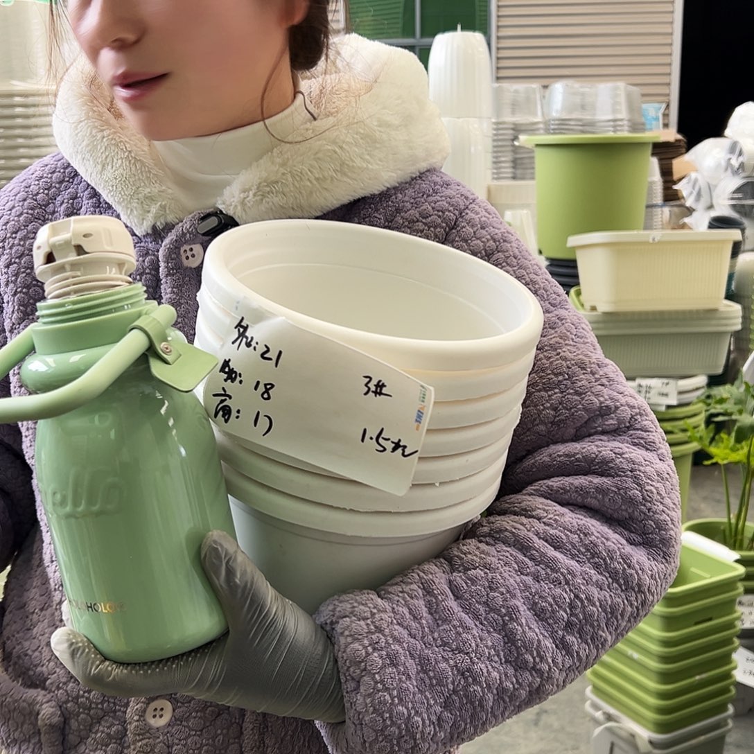 四季盆3#白色10个（含托）