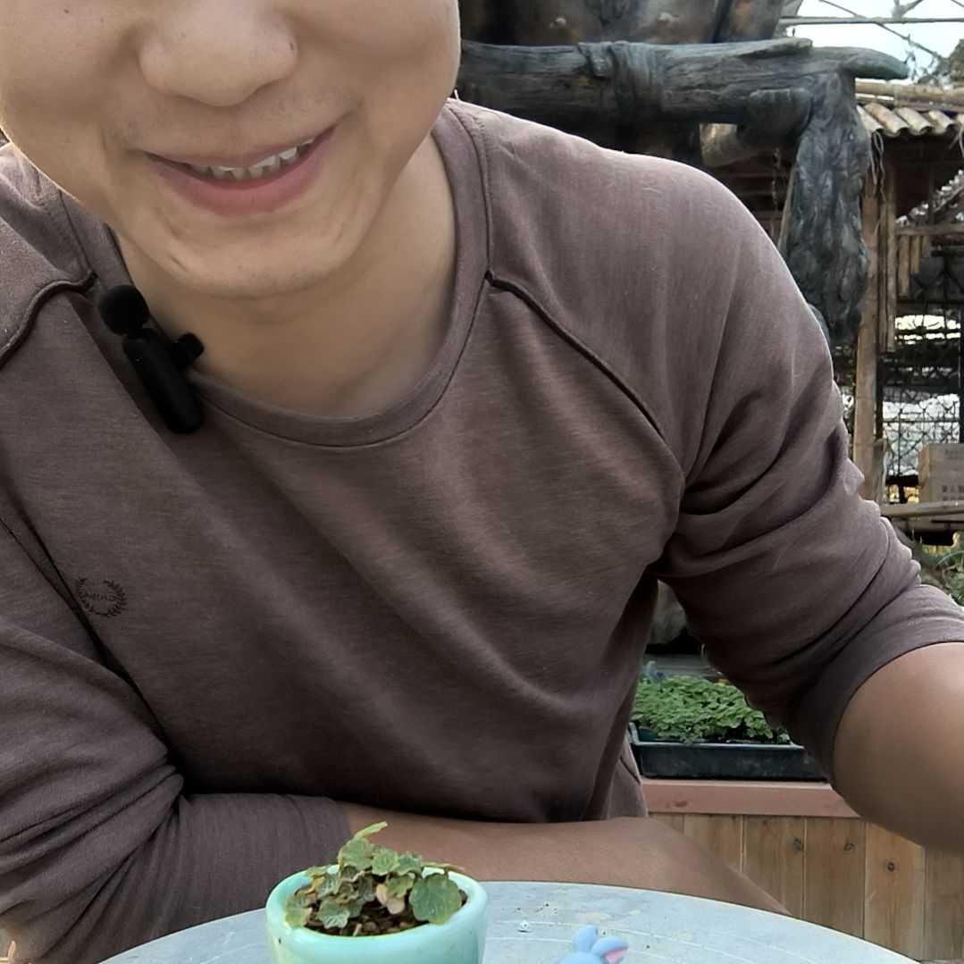 繁****空小盆景小植物一物一拍87