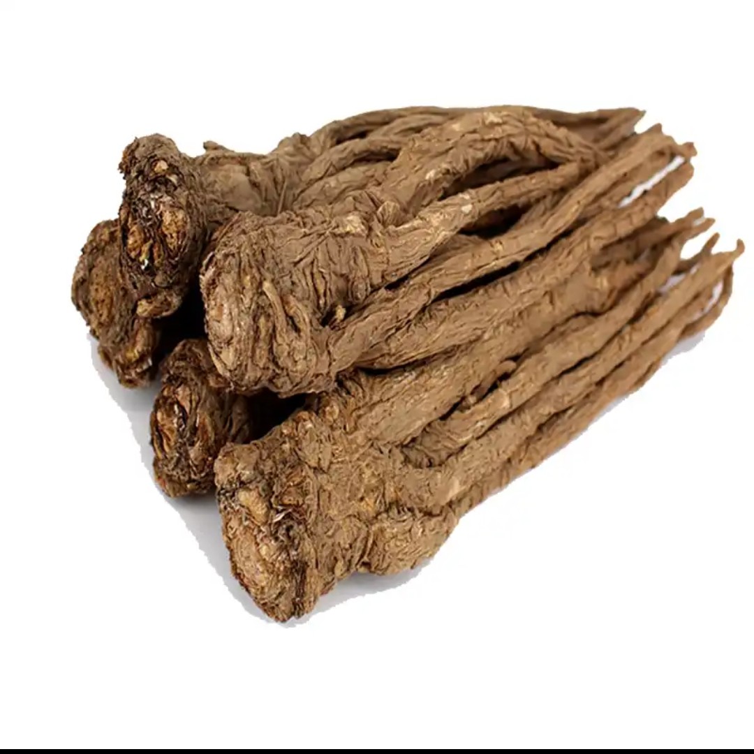 甘肃农民种植小条当归250g-500g包邮